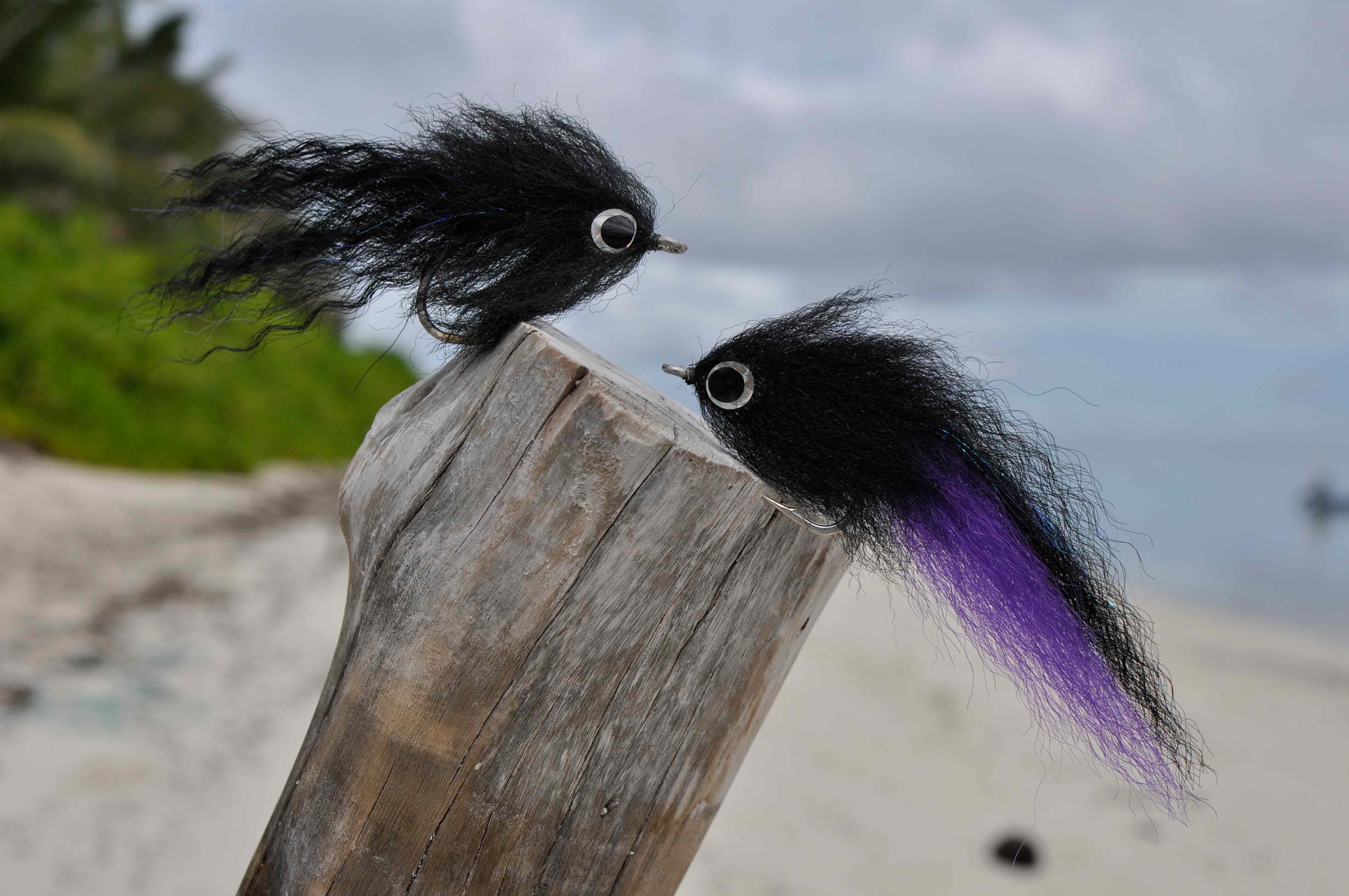 Black brush fly to catch giant trevally - Alphonse Fishing co™